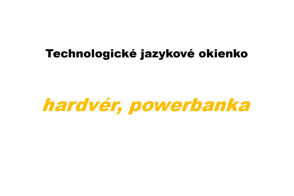 Slovenčina a počítačová doba