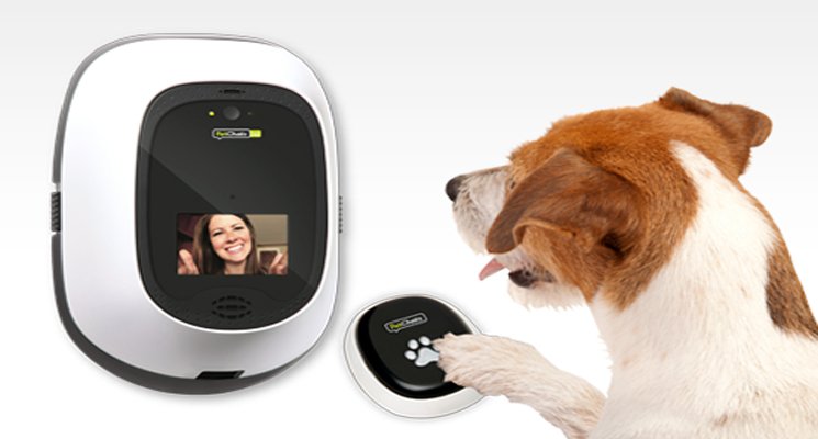 PetChatz je inteligentný telefón pre vášho štvornohého miláčika