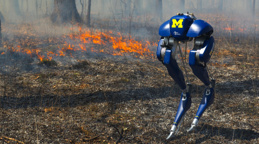 Cassie Blue: Dvojnohý robot na prechádzke ohňom