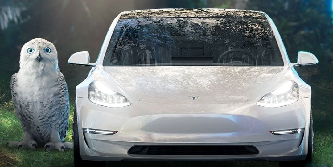 Založte si ČSOB Smart účet, ktorý je naveky bez poplatku, a vyhrajte novú Teslu