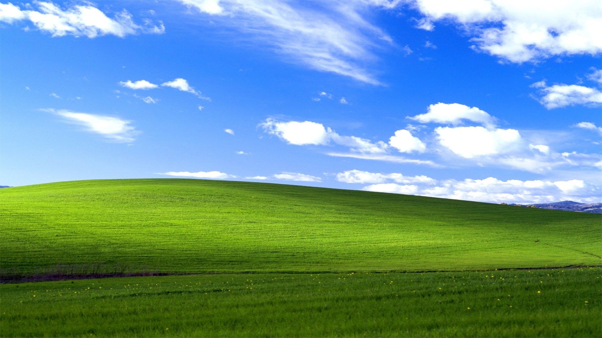 Ľudia nechcú Windows 11. Aktualizáciu stále odkladajú