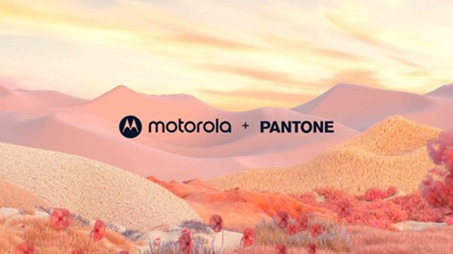 Pantone už nebude len farba smartfónu, dostane sa aj do fotoaparátu a displeja