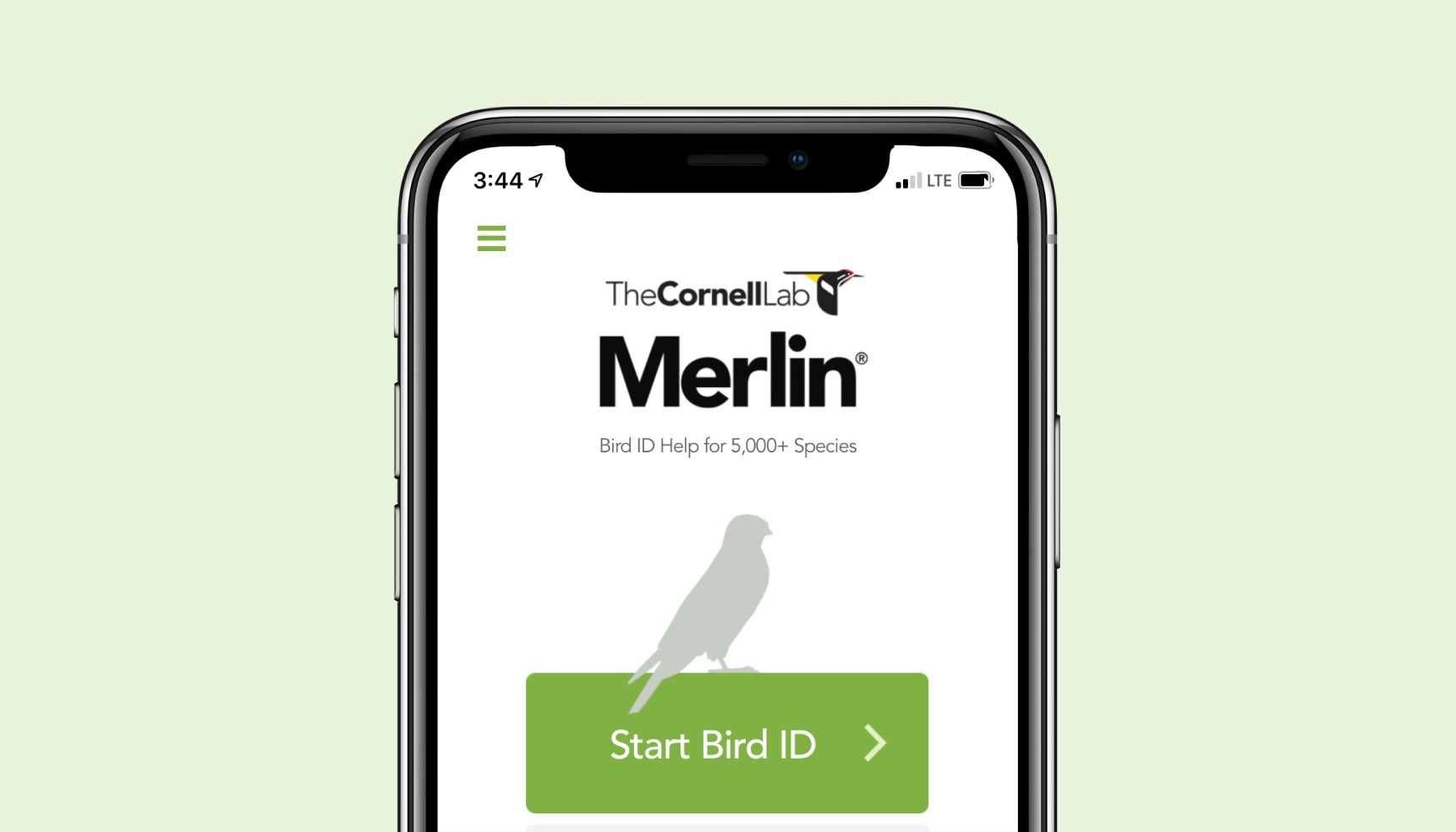 Merlin Bird ID: Najlepšia aplikácia na rozpoznávanie vtákov podľa hlasu alebo fotografie bez potreby internetu